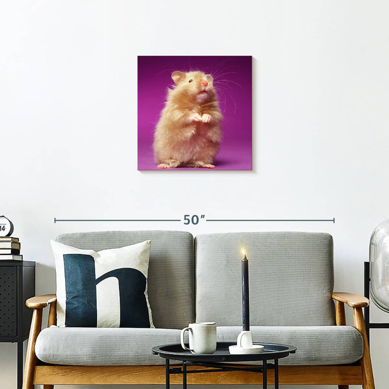 Ketti Fluffy Hamster, 20" H x 20" W