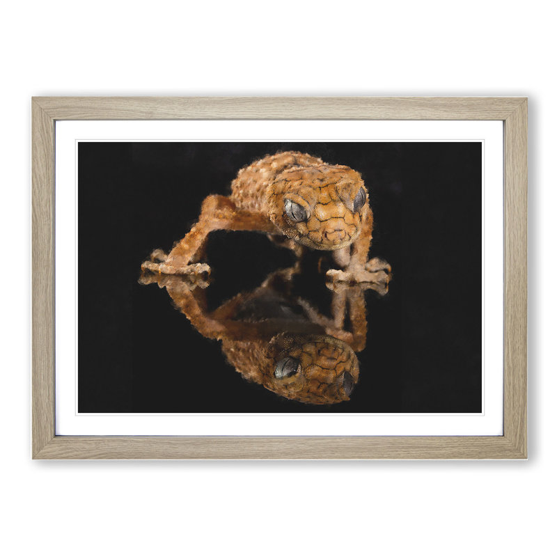 Rough Knob Gecko Lizard - Picture Frame Graphic Art, Oak Framed, 36cm H x 48cm W x 2cm D