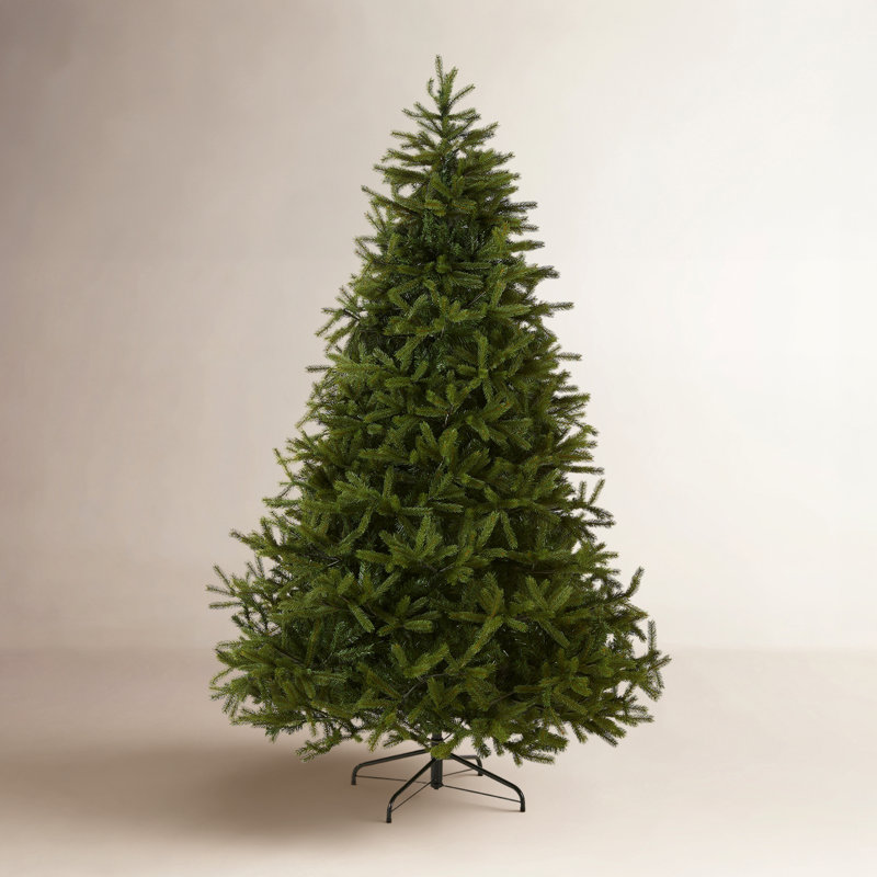 Sapin de Norvège, H 7,5 pi