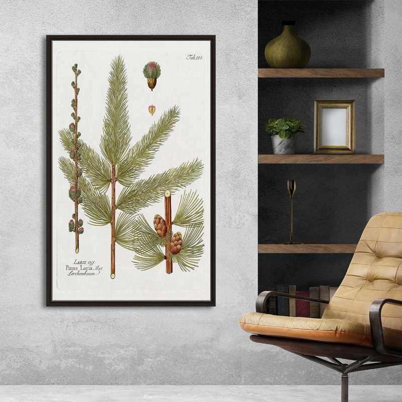Mélèze botanique par Kelly Donovan - Peinture, L 31,5 po x H 51,5 po, Encadrement brun