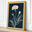 Classical Carnation Study Botanical - Wrapped Canvas-839063105-839063107