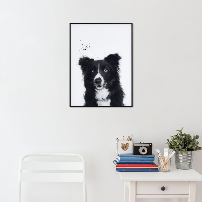 Border collie - cadre photo, impression sur verre