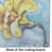 Martin Welch New Artwork Tempered Glass Cutting Board