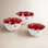Winterfest Earthenware Dessert Bowl