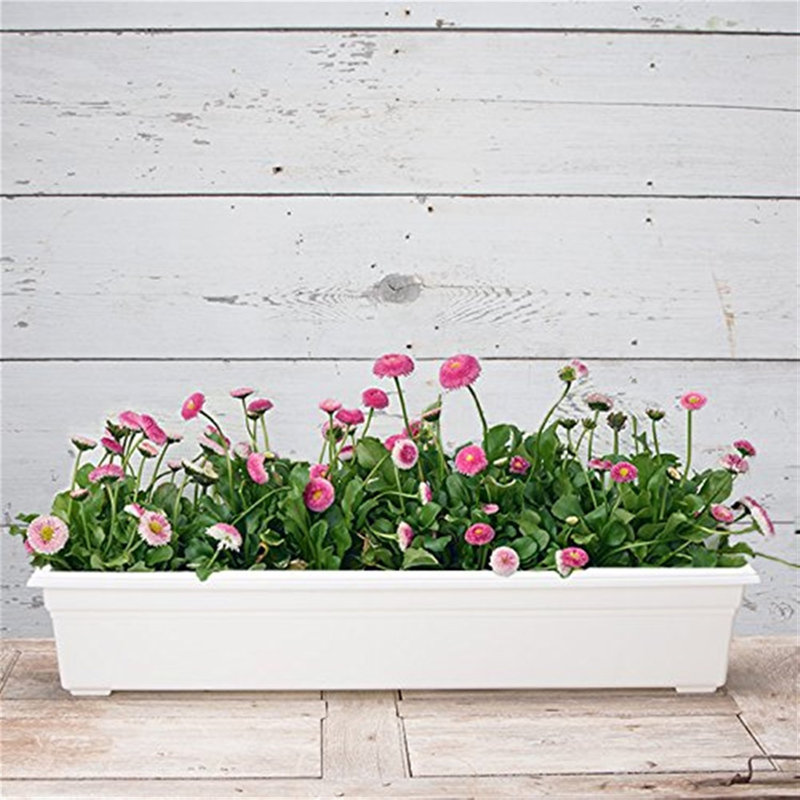 Plastic Planter Box, White, 6.5" H x 8" W x 36" D