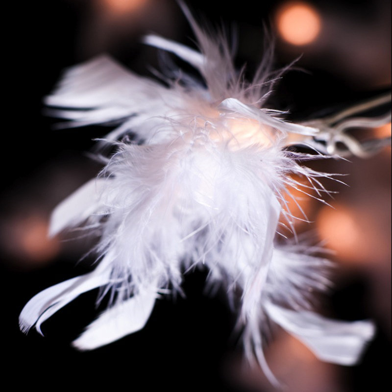 Travie LED Feathers String Light, White