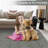 Washable Rugs 10x13 Modern Area Rugs for Living Room Non Slip Solid Color Textured Rug Stain Resistant Minimalist Carpet for Dining Room Nursery Grey-322864549-322864571