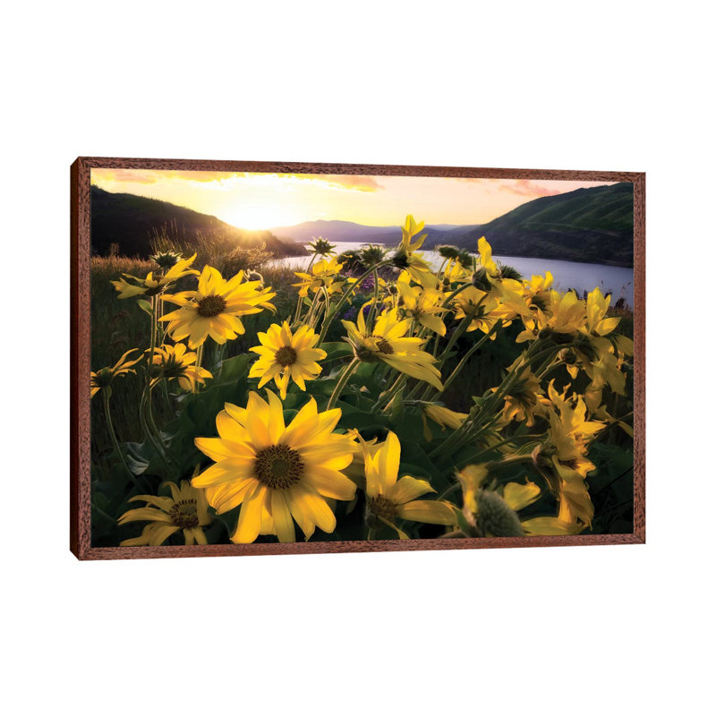 Columbia Flora by Dennis Frates - Print on Canvas, Classic Brown Wood Framed, 66.04cm H x 101.6cm W x 3.81cm D