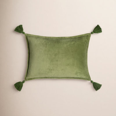 Norwin Tassels Cotton Lumbar Throw Pillow