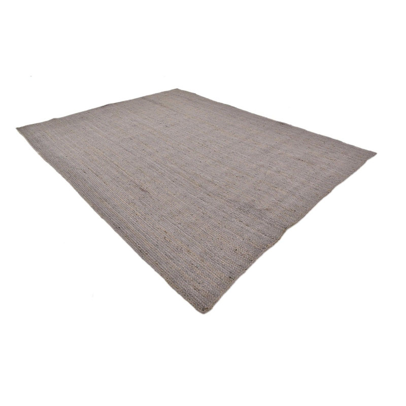 Akosua Jute/Sisal Indoor Rug, Rectangle 2' x 3'