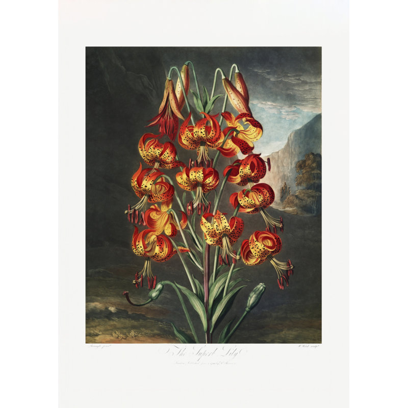 Wrapped Canvas Print, 76.2 cm H x 50.8 cm W