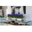 Orchids Centerpiece in Glass Planter-322954504-322954511