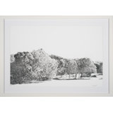 Penair Print by Robert Robinson