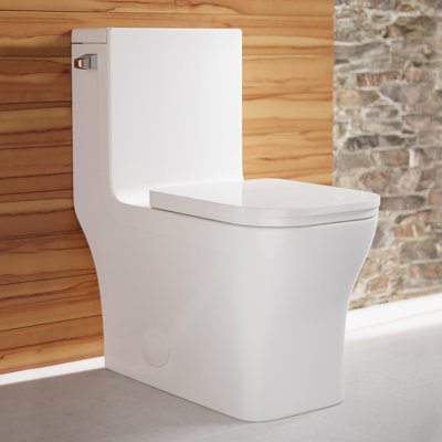 Concorde One-Piece Square Toilet
