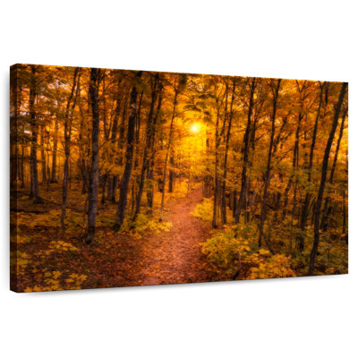 Coucher de soleil sur la forêt Harnek
