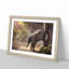 Mother Elephant Encouraging Baby - Picture Frame Painting Print-56860638-56860634