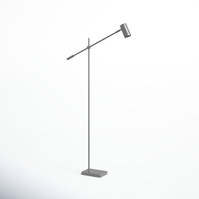 Flemings 63'' LED Task Floor Lamp