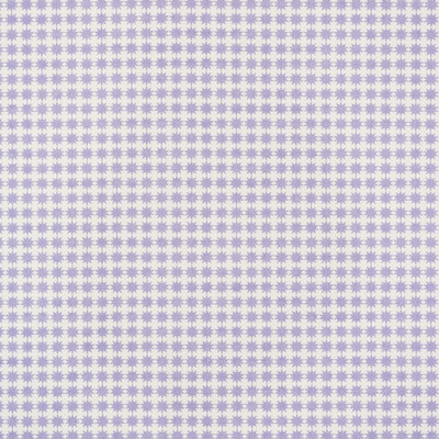 Schumacher x Studio Bon Stella Fabric
