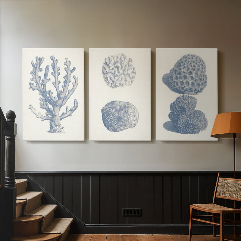 Antique Coral Collection VI - Toile tendue avec châssis sur mesure - 3 pièces, H 12 po x l 24 po
