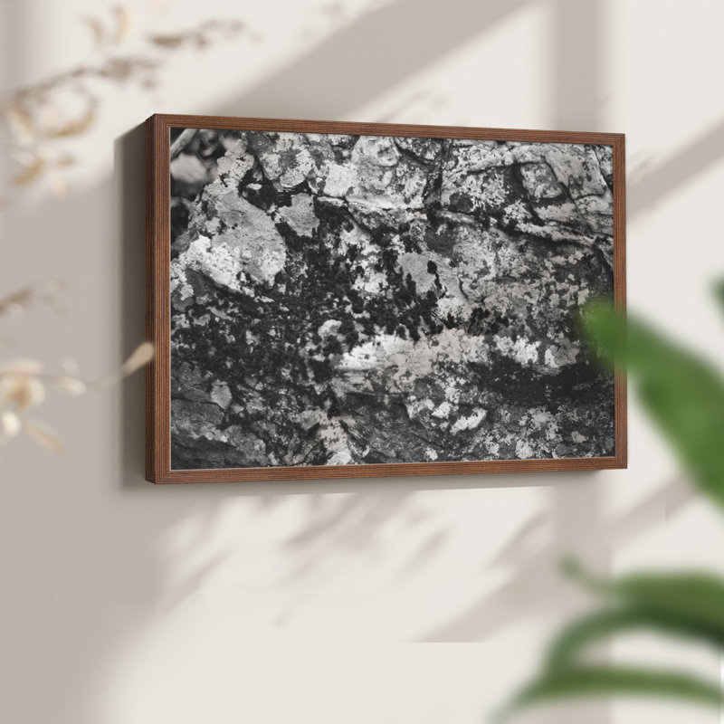 Found Textures XX - Reproduction encadrée - Restickable, H 11 po x l 14 po, Noyer