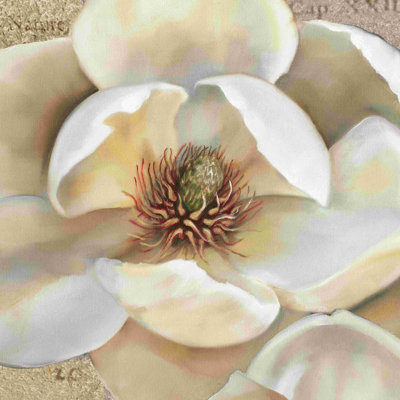 Chef-d'œuvre Magnolia II