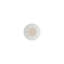 TAC Festive Celebration Porcelain Saucer