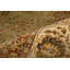 Wool Oriental Area Rug