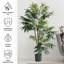Palmier tropical en pot 60 "