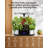 Yesurprise Growing Kit