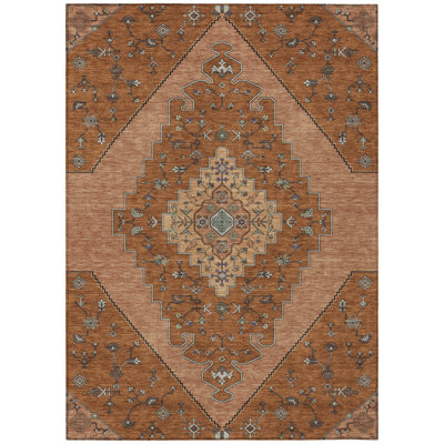 Machine Washable Indoor/Outdoor Chantille ACN2472 Global Rug