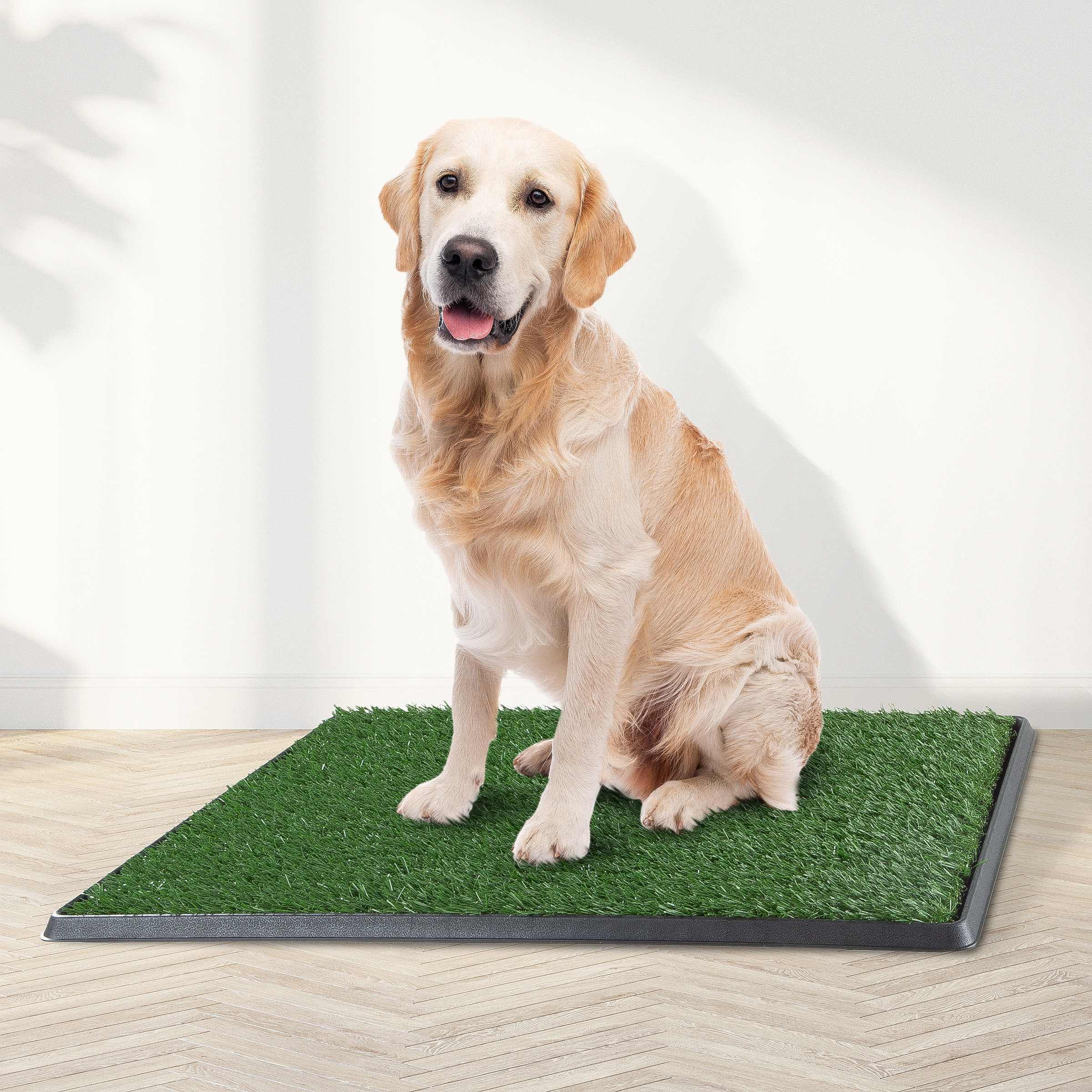 Pet cheap grass mat