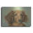 " Sophie " by Janet Pidoux-1026459925