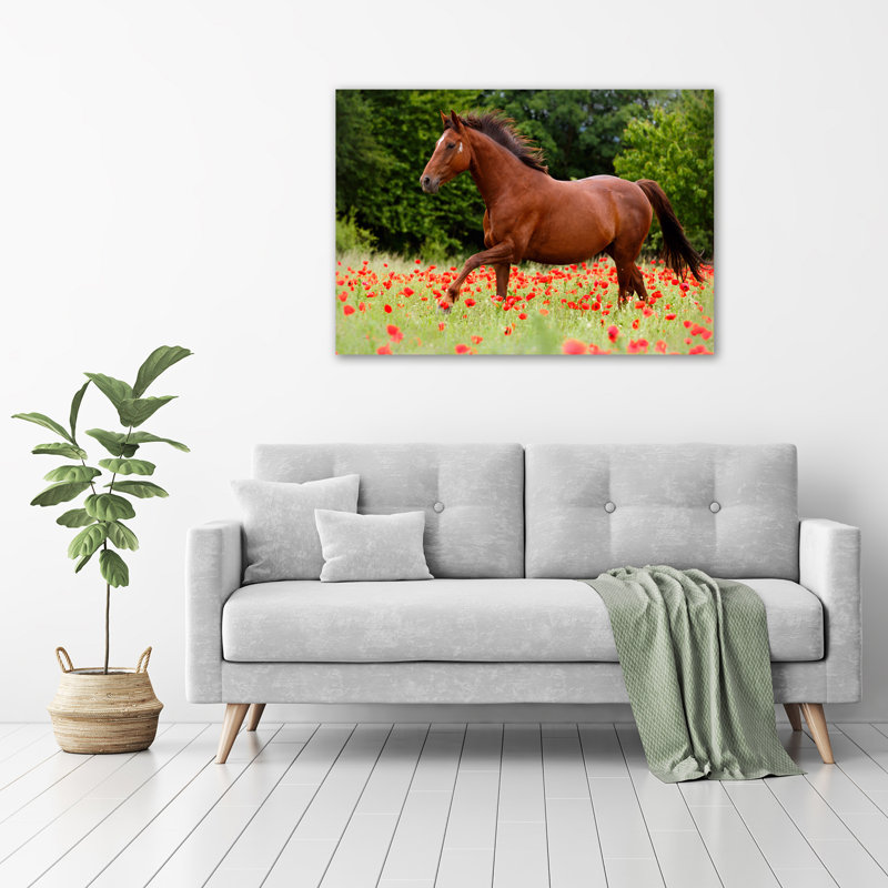 Horse On The Poppy Field - No Frame Print on Glass