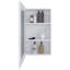 Armoire de salle de bain étroite 25,7 po x l 15,7 po blanche - peu encombrante, 3 tablettes intérieures, superbe porte en miroir, facile à installer, à installer et à l'intérieur des tablettes-121110246