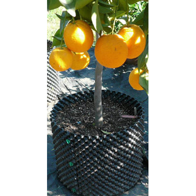 Pot Planter