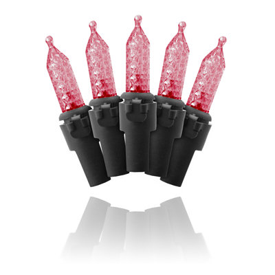100 Count LED Light String