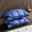 Ensemble de 2 coussins de pain bleu Hote-119336072