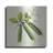 " Linen Vegetable IV V2 " by Studio Mousseau-602025780