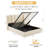 Balynda 46.9” Tall Linen Wingback Hydraulic Lift Up Storage Upholstered Platform Bed-69225898-69225896