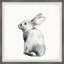 Morehouse Furry Bunny Framed Print-1271557288