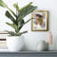 Or antique II - impression encadrée-118054414-118054416