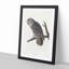 Great Cinereous Owl by John James Audubon - Picture Frame Painting Print-55735677-55735678