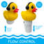 Chlorateur pour piscine: canard - grand