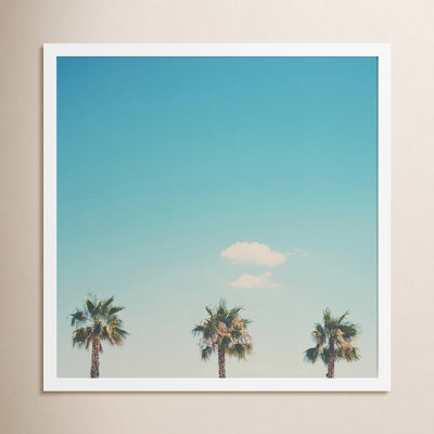 A Trio of Palm Trees Photo Print