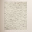Amber Lewis x Loloi Rocky Ivory Silver Abstract Rug