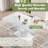Dining Table Set-2132810328-2132810311-2132748288