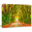 «Fall Greenery and Road Straight Ahead», impression-35061960-35061955