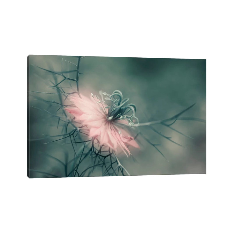 The Virgin 1 Piece Wrapped Canvas Wall Art, 101.6 cm H x 66.04 cm W x 1.91 cm D