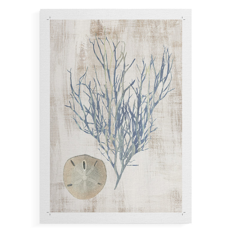 Varech I - impression sur toile seulement - non encadré, H 60 po x l 40 po