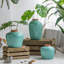 Vase de table Cevennes-1831604526